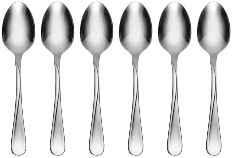 Flight Teaspoons Silverware Set for 6